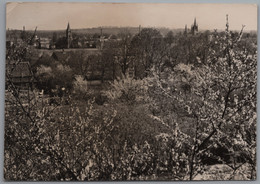 Werder Havel - S/w Blick Zur Insel 1   Stadt Der Baumblüte - Werder