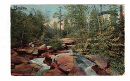 DULUTH, Minnesota, USA, Congdon Park, 1914 Postcard - Duluth