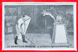 SPECTACLE - Cirque - Le DOMPTEUR Marcel Et Sa Terrible Tigresse "Bombay " - Zirkus