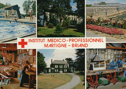 MARTIGNÉ-BRIAND - CROIX ROUGE FRANÇAISE - 20° Anniversaire Institut Médico-Professionnel - Croce Rossa