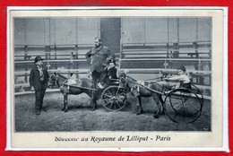 SPECTACLE - Cirque - Souvenir Du Royaume De Lilliput - Paris - Cirque