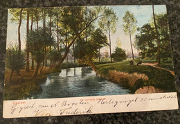 Delcampe - GEULEM De Verliefde Boomen ( Valkenburg)  - Poststempel 1906 - Valkenburg
