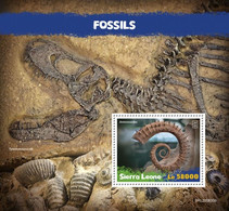 2020-08- SIERRA LEONE-  FOSSILS        1V      MNH** - Fossils