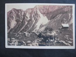 1929 Oberzalimhütte  Brand Bei Bludenz Gestempelt - Brandertal