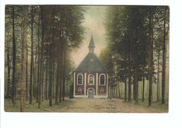 Buggenhout   Chapelle Au Bois 1908 - Buggenhout