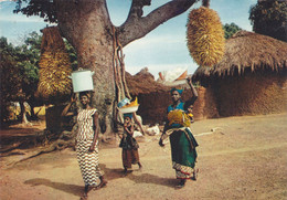 AFRIQUE,SENEGAL - Sénégal