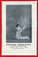 SPECTACLE - Cirque -- Princesse Nouma - Hawa - Zirkus