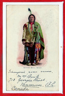 INDIENS D'AMERIQUE - Sitting Bull Sioux - Indiens D'Amérique Du Nord