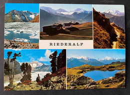 Riederalp Mehrbild - Riederalp