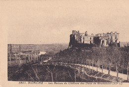 BIDACHE  - Les Ruines Du Château Des Ducs De Grammont - Bidache