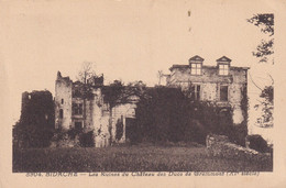 BIDACHE  -  Ruines Du Château Des Ducs De Grammont - Bidache