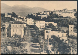 °°° 22018 - VELLETRI - VIALE ROMA E PANORAMA PARZIALE °°° - Velletri