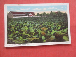 Lancaster  County Tobacco Field     Pennsylvania > Lancaster       Ref 4555 - Lancaster