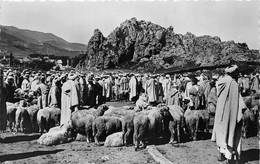 AZROU- LE SOUK AUX MOUTONS - Altri & Non Classificati