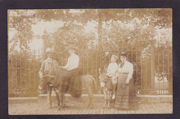 CPA Ane Carte Photo Circulé - Donkeys