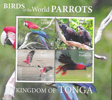 TONGA, 2020, MNH, BIRDS, PARROTS, SHEETLET OF 4v - Perroquets & Tropicaux