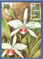 Brasilien  1982 , Serie Fauna  Blumen Laelia Purpurata - Maximum Card Nr. 027810 - First Day  17.4.82 - Maximumkaarten