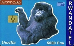 RWANDA : RWA-06 5000 FrW  Gorilla USED - Rwanda