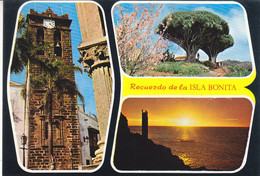 ESPAGNE - ISLA De SAN MIGUEL DE LA PALMA - 137 L'église De El Salvador - La Palma