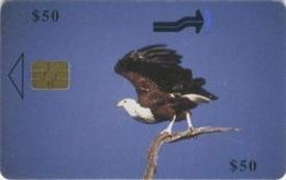 ZIMBABWE : ZIM35 $50 Fish Eagle In Flight USED - Simbabwe