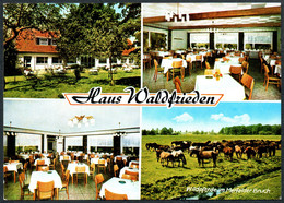 E5542 - TOP Dülmen - Märchenwald Gasthaus Waldfrieden - Wildpferde Pferd - Dülmen