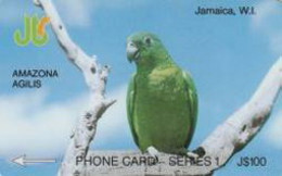 JAMAICA : 011C J$100 AMAZONA           11JAMC USED - Jamaïque