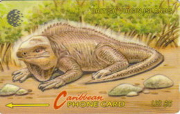 BVI : 023A EC$5  Iguana    English USED - Maagdeneilanden