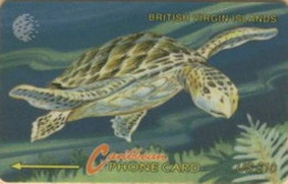 BVI : 019C EC$10 Turtle    English  NO CONTROL  DUMMY MINT - Isole Vergini