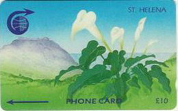 STHELENA : STH08 L.10 ARUM LILY MINT - Isla Santa Helena