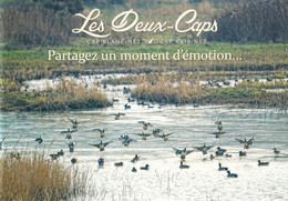 Cote D'opale-site Des Deux Caps-la Motte Du Bourg-wissant -cpm - Nord-Pas-de-Calais
