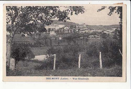 Carte France 42 - Belmont   - Achat Immédiat - Belmont De La Loire