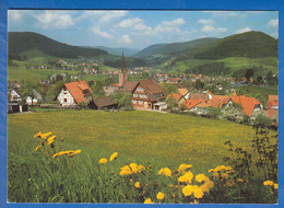 Deutschland; Baiersbronn; Panorama - Baiersbronn