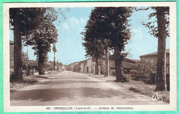 607 - GRISOLLES - AVENUE DE MONTAUBAN - Grisolles