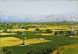 ► MOULIN à VENT - GREECE - Watering Eolienne Crete Lassithi Tableland 1960/70s    (Windmühle Windmolen Windmill) - Invasi D'acqua & Impianti Eolici