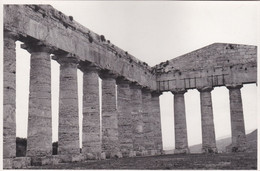 FOTOGRAFIA - CALATAFIMI SEGESTA (TRAPANI) - TEMPIO DI SEGESTA - ANNO 1952 - Trapani