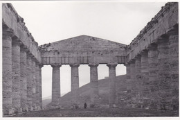 FOTOGRAFIA - CALATAFIMI SEGESTA (TRAPANI) - TEMPIO DI SEGESTA - ANNO 1952 - Trapani