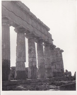 FOTOGRAFIA - SELINUNTE - CASTELVETRANO (TRAPANI) - TEMPIO, PARCO ARCHEOLOGICO - ANNO 1952 - Trapani