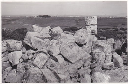 FOTOGRAFIA - SELINUNTE - CASTELVETRANO (TRAPANI) - TEMPIO DI SELINUNTE - ANNO 1952 - Trapani