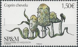 SPM 2020 - Coprin Chevelu - Unused Stamps