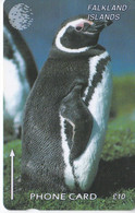 184CFKB TARJETA DE FALKLAND ISLANDS DE UN PINGÜINO (PENGUIN) - Falkland Islands