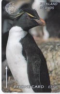 184CFKA TARJETA DE FALKLAND ISLANDS DE UN PINGÜINO (PENGUIN) - Pingueinos