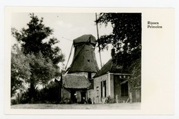 D613 - Rijssen Pelmolen - Molen - Moulin - Mill - Mühle - - Rijssen