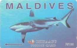 MALDIVES : MLD005C Rf.100 DHIRAAGU Grey Shark (not In Catalog) MINT - Maldives