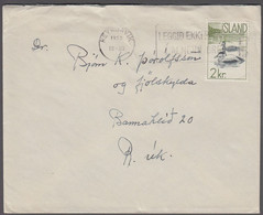 1959. ISLAND. 2 Kr. Birds On Local Cover  REYKJAVIK 1959 18-XII.  (Michel 337) - JF411986 - Brieven En Documenten