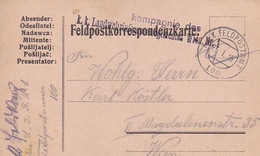 Feldpostkarte - K.k. Landwehrinfanterieregiment Wien Nach Wien - 1915 (53497) - Brieven En Documenten