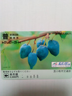 JAPON FRUITS EXOTIQUES 2000U UT - Lebensmittel