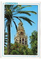 Espagne -- CORDOBA --  Clocher De La Cathédrale - Córdoba