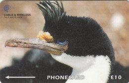FALKLANDS : 229A L. 10 King Cormorant Bird USED (x) - Falkland Islands