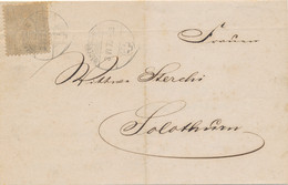 Schweiz - 1873 - 2c Sitzende Helvetia On Complete Printed Matter From Wädensweil To Solothurn - Cartas