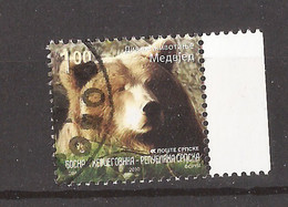 2021 -01-01 2010 FAUNA  BOSNIA ERZEGOVINA SERBA   REPUBLIKA SRPSKA  Banja Luka BEAR  WWF USED - Used Stamps